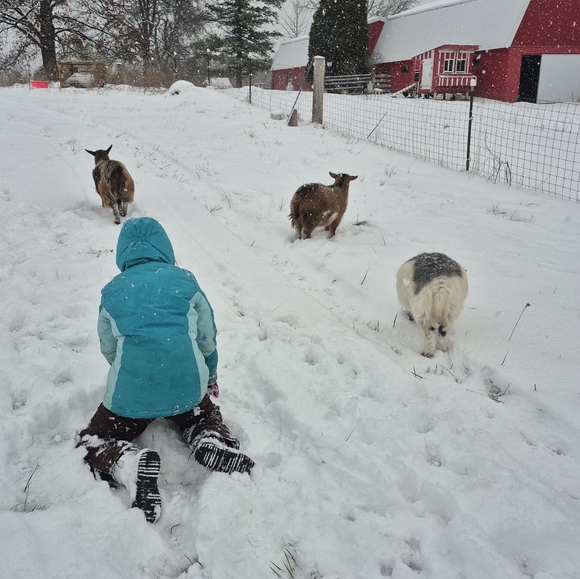 Meet your Posher, Mariel - Picture 5 of 8